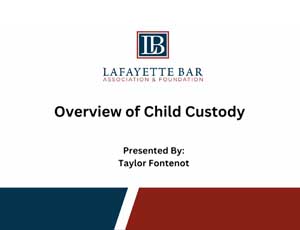 lba overview of child custody thumb